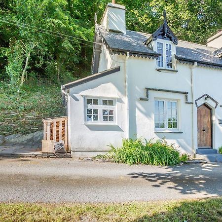 Braich-Y-Celyn Lodge Aberdyfi Dış mekan fotoğraf