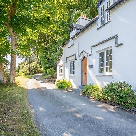 Braich-Y-Celyn Lodge Aberdyfi Dış mekan fotoğraf