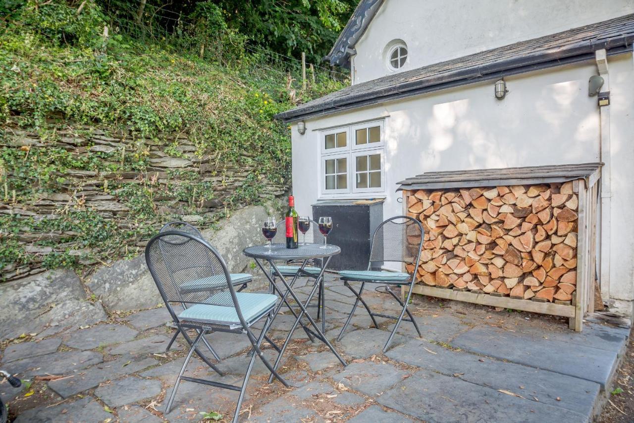 Braich-Y-Celyn Lodge Aberdyfi Dış mekan fotoğraf
